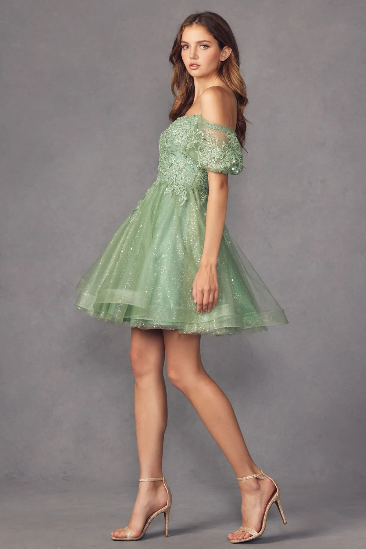 Shimmer Tulle Off Shoulder Dress