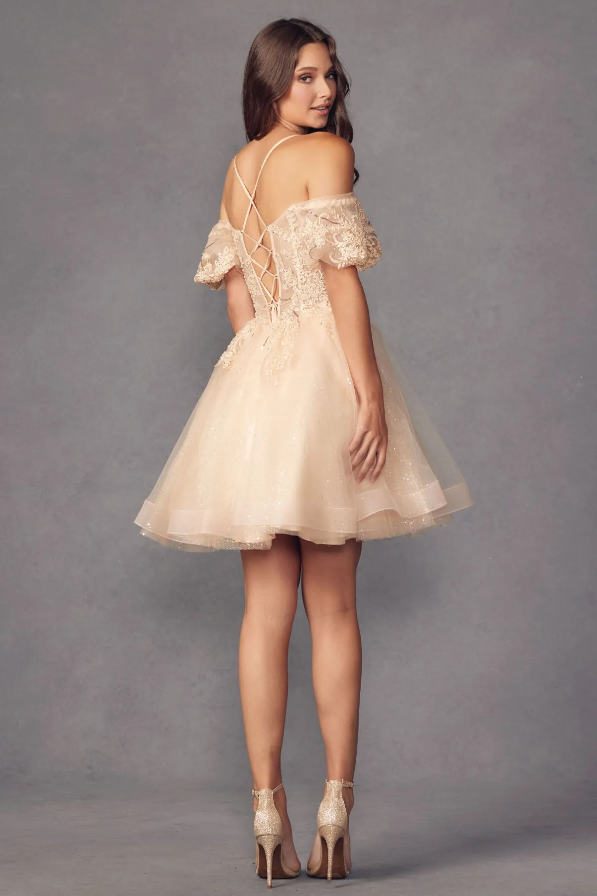 Shimmer Tulle Off Shoulder Dress