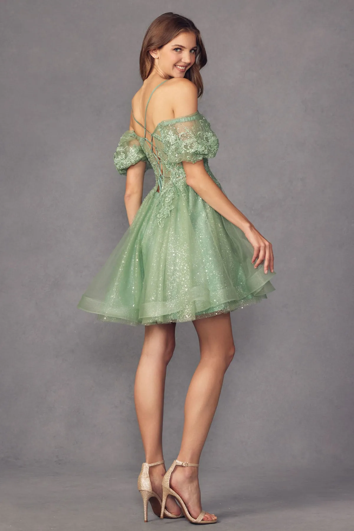 Shimmer Tulle Off Shoulder Dress
