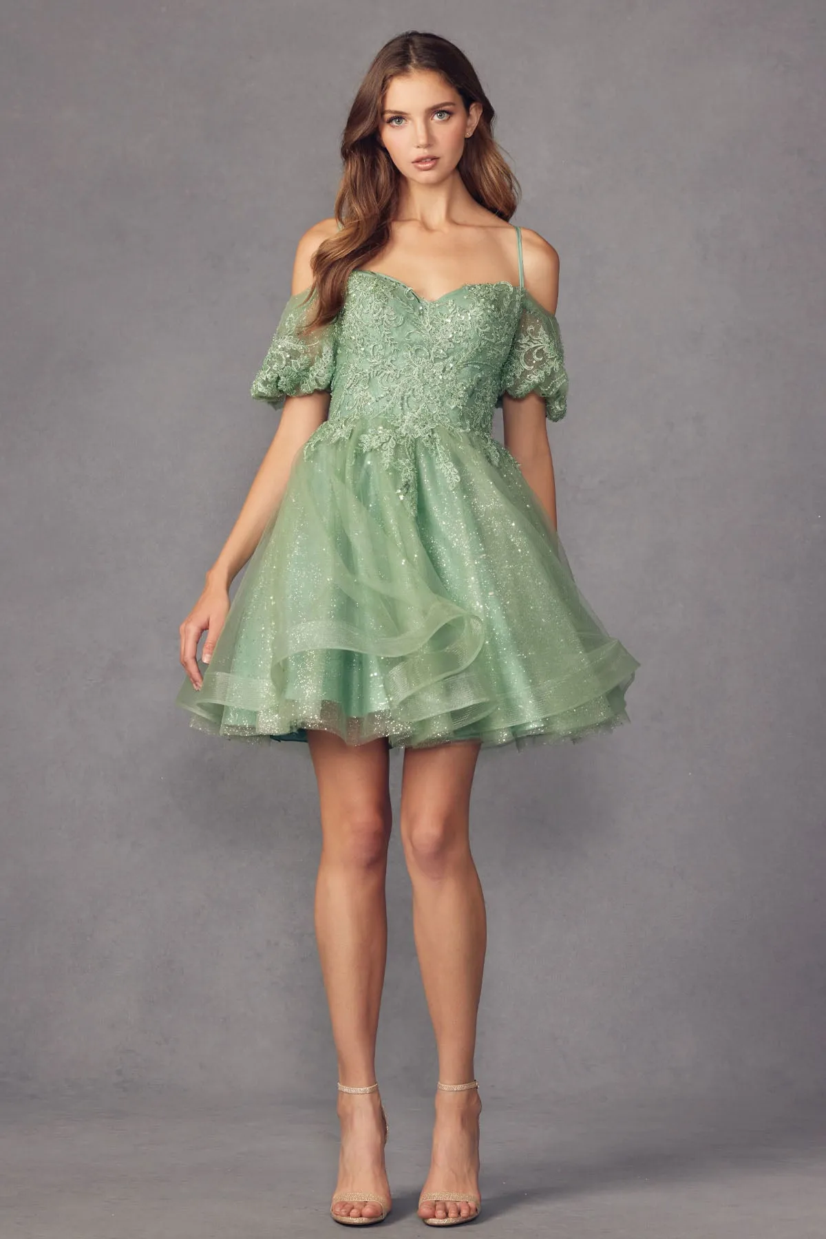 Shimmer Tulle Off Shoulder Dress