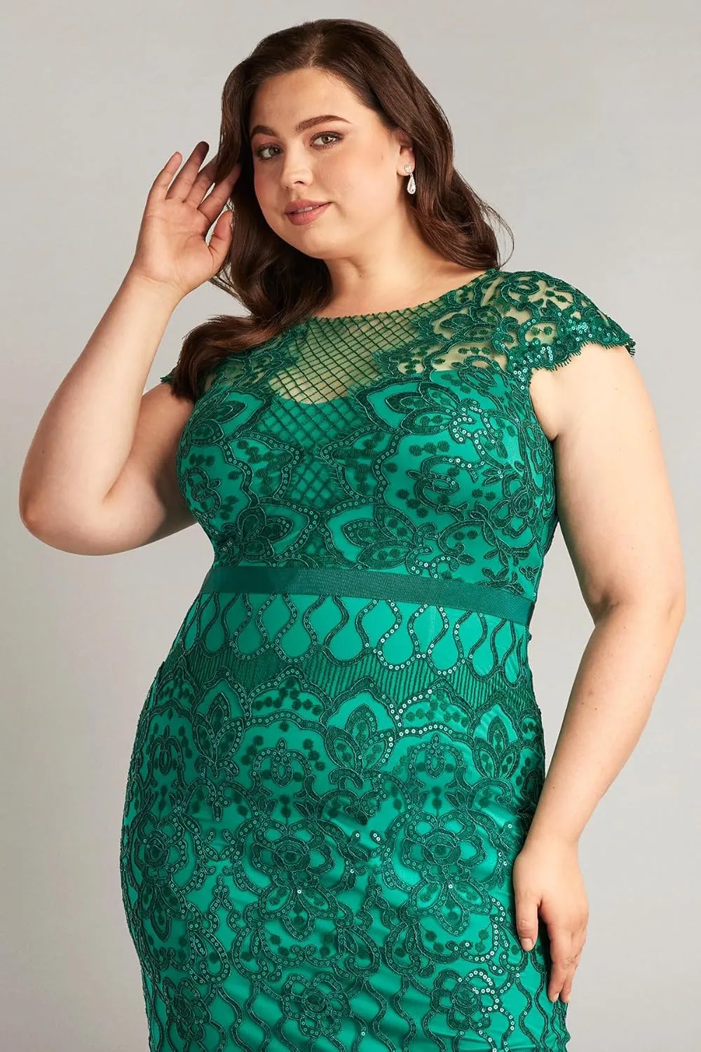 Tadashi Shoji Miranda Sequin Embroidered Dress - Plus Size